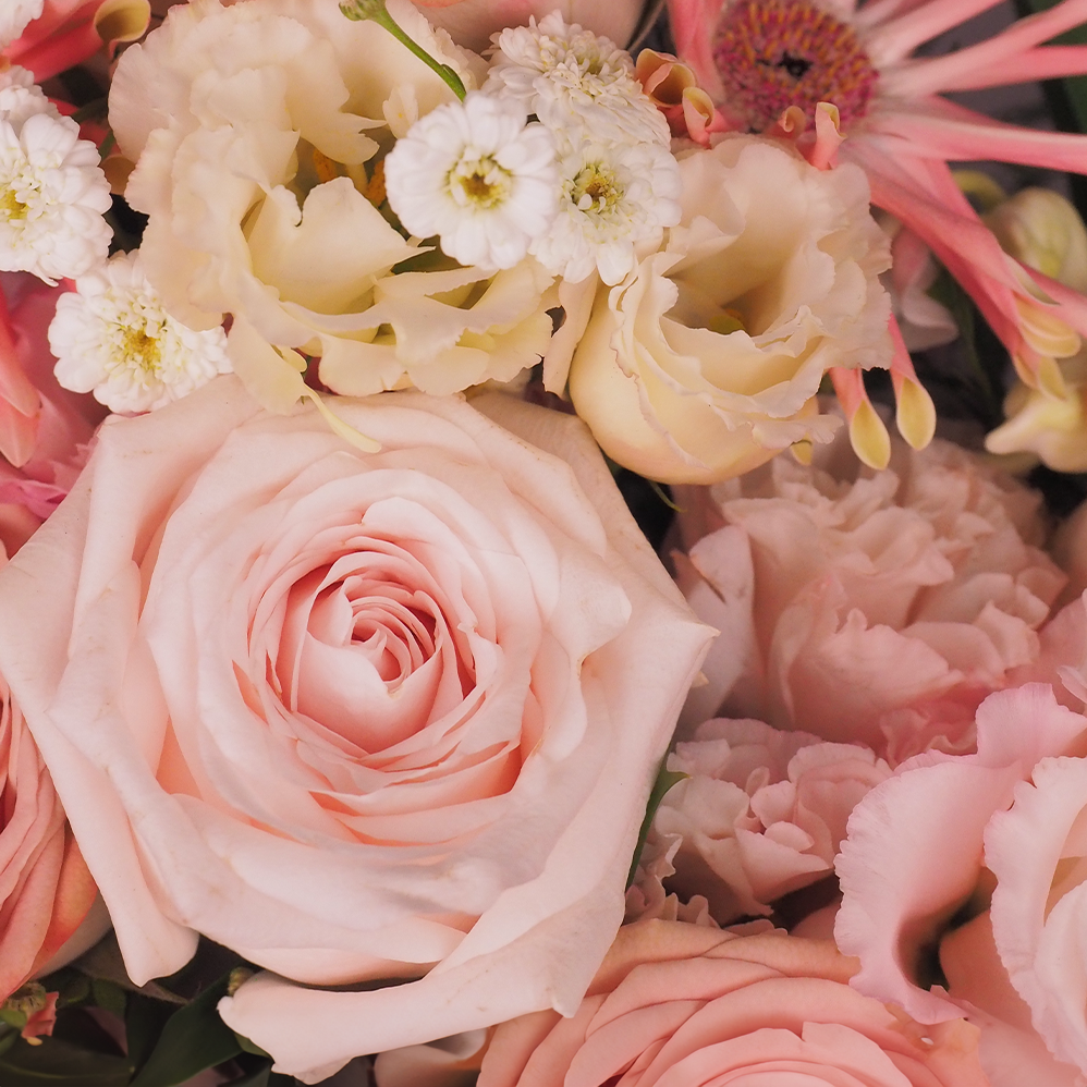 Romantic Pisces