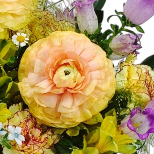 Peony bell flower gift