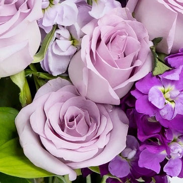 Purple roses & stock with vase