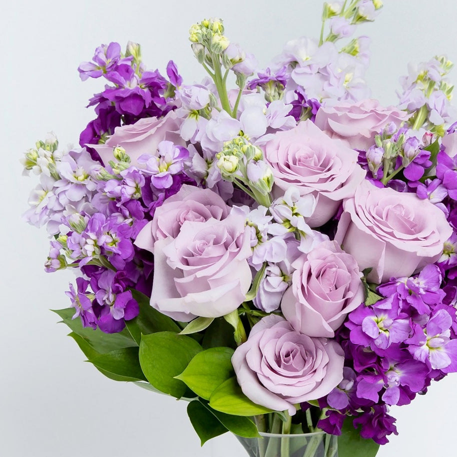 Purple roses & stock with vase
