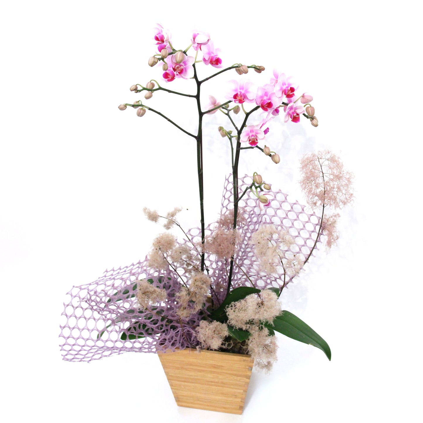Seoul Romance – Artisan Crafted Orchid