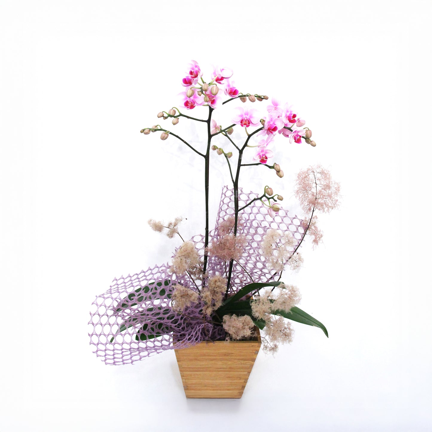 Seoul Romance – Artisan Crafted Orchid