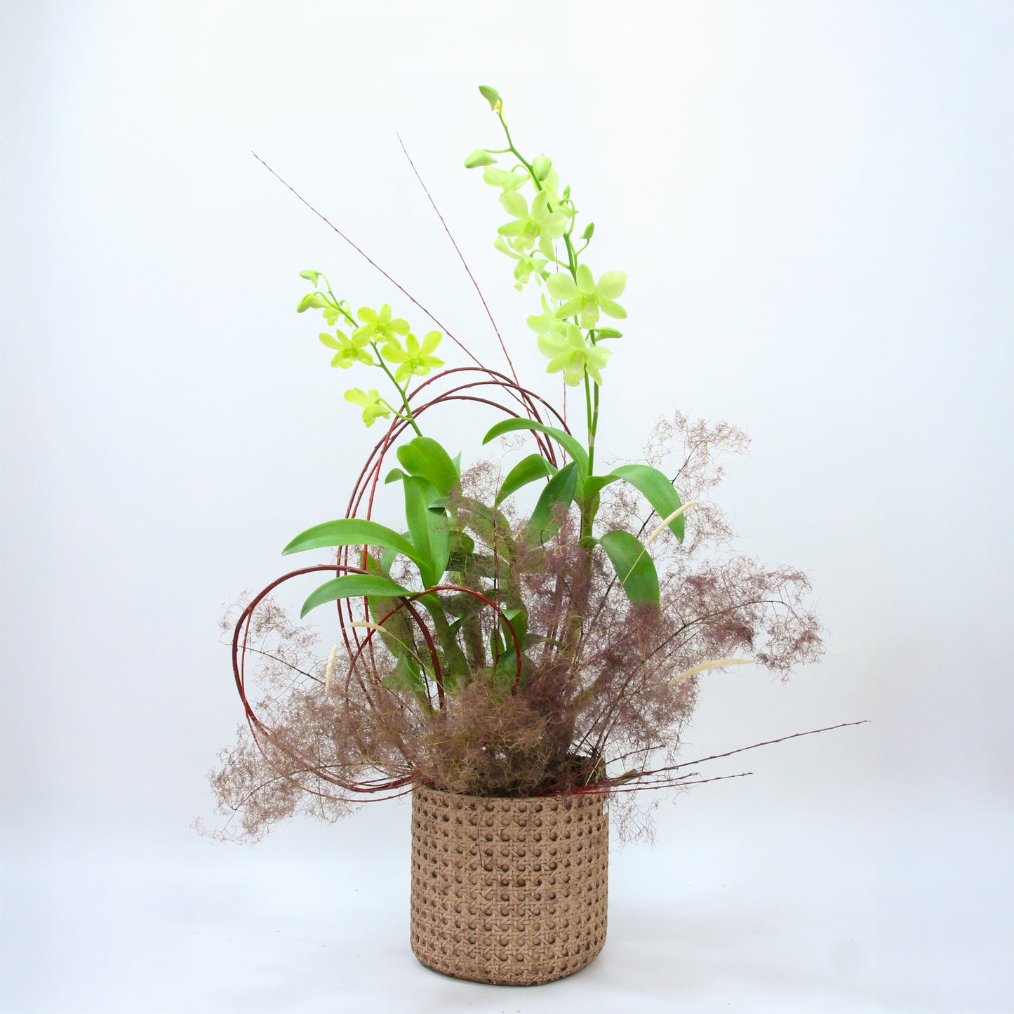 Rainy Melody – Artisan Crafted Orchid