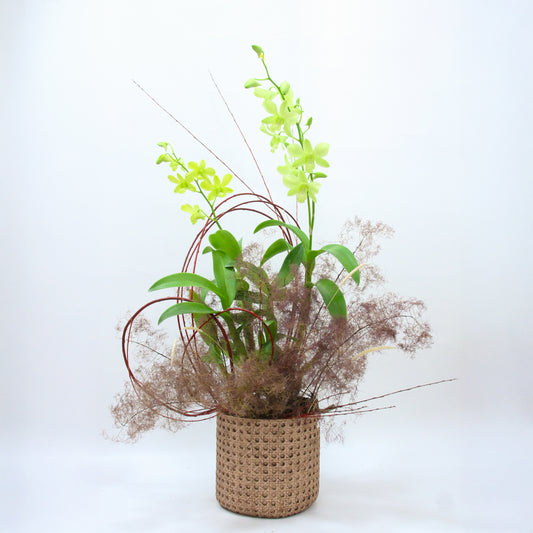 Rainy Melody – Artisan Crafted Orchid