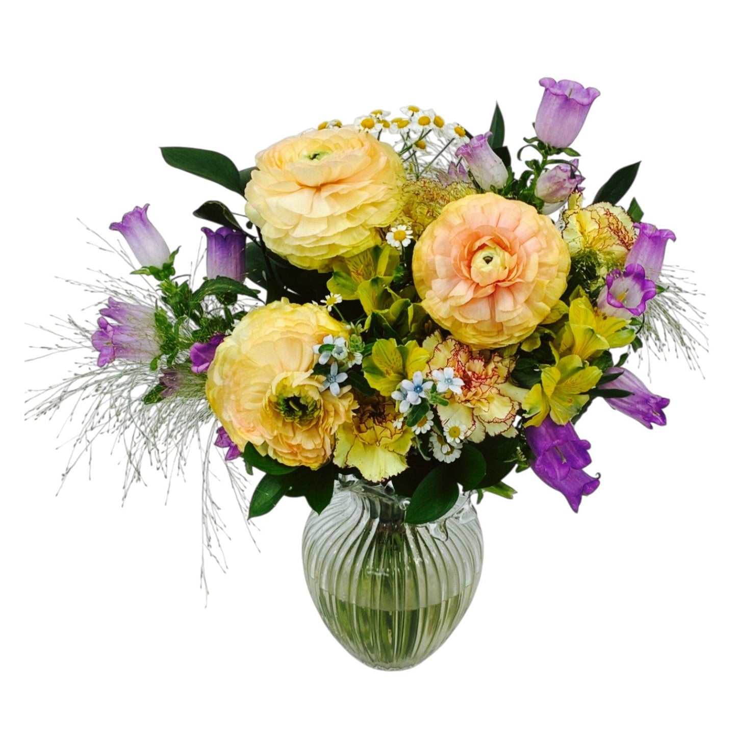 Peony bell flower gift