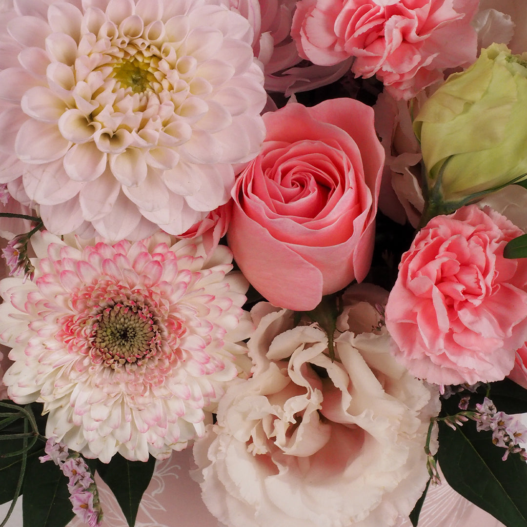 Pastel Overture