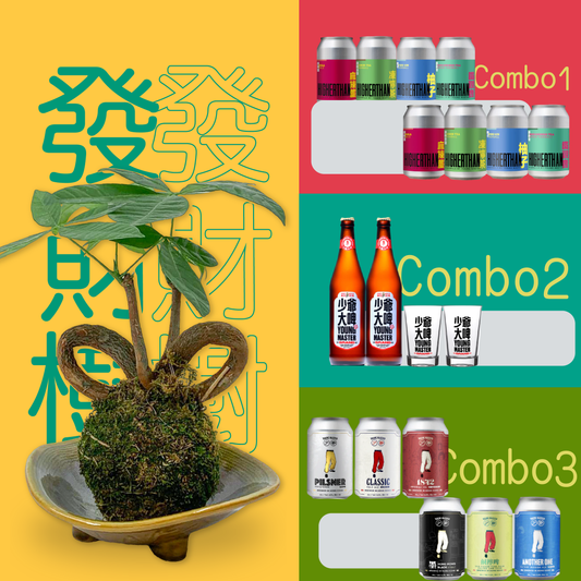 Money Tree Moss Ball Combo