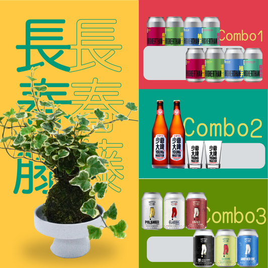 長春藤苔球組合
