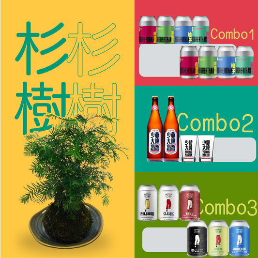 杉樹苔球組合
