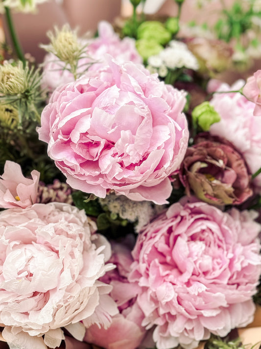 Seasonal special - florist's choice bouquet - peony closeup