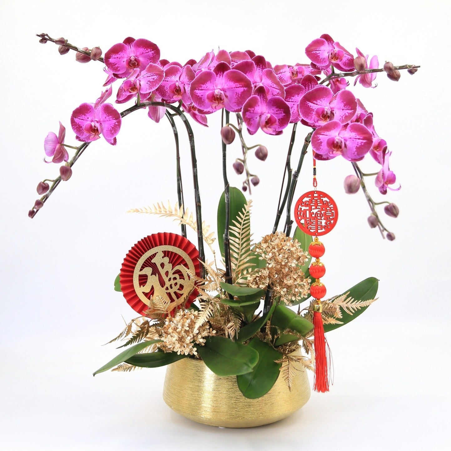 Taiwan Phalaenopsis Orchids - Set of 5 Stems in Three Vibrant Colors