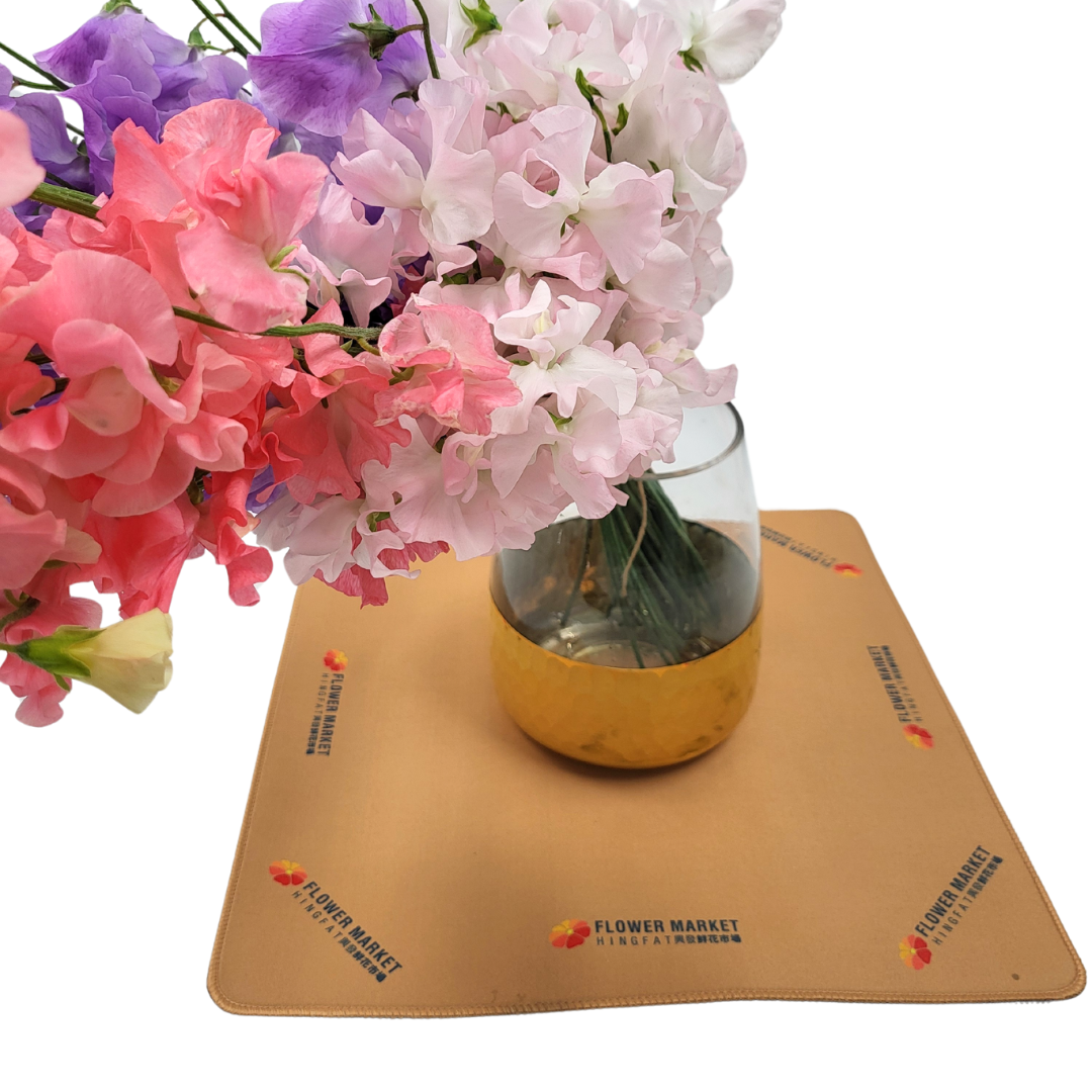 CNY Flowers - Foliage - Asplenium nigus 60cm+(7 Stems)