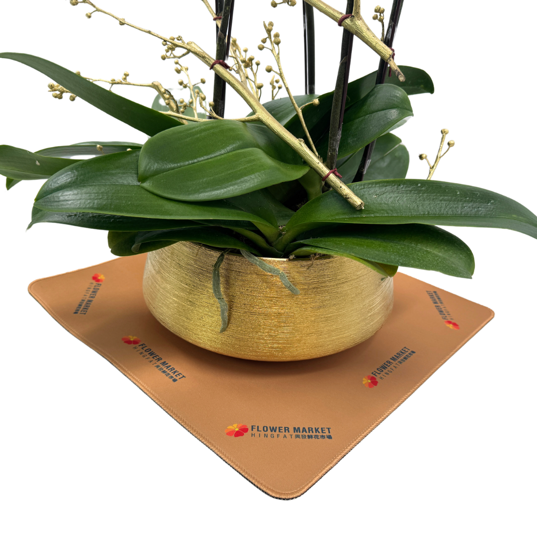 Pad for Pot