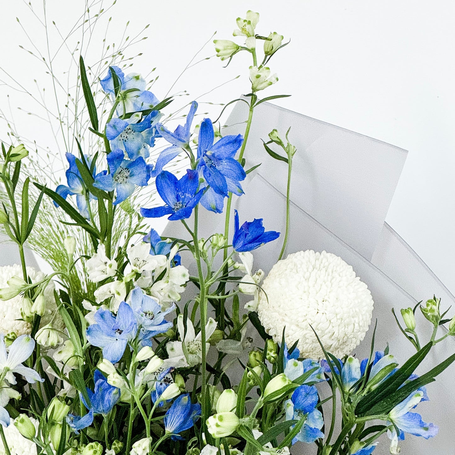 藍白小飛燕乒乓菊花束 Blue and white delphinium and ping pong bouquet close up