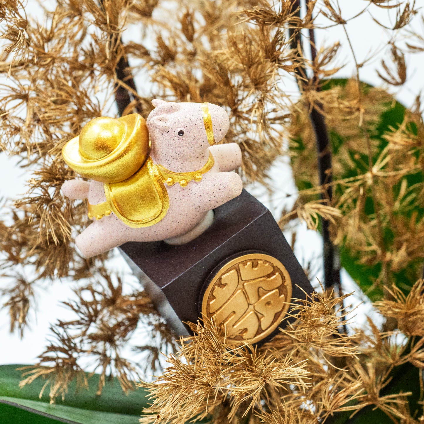 馬躍金枝 (3菖) 蝴蝶蘭