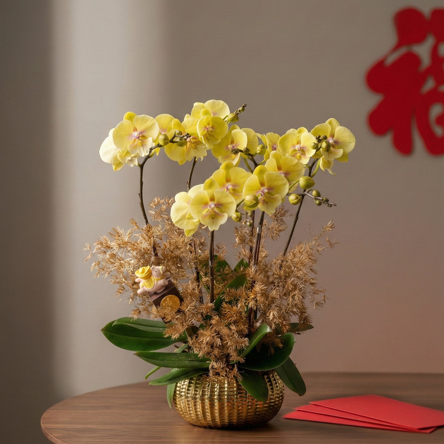 馬躍金枝 (3菖) 蝴蝶蘭