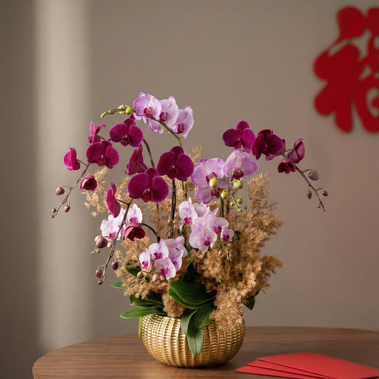 Orchid in Golden woods - 5 stems Phalaenopsis Orchids