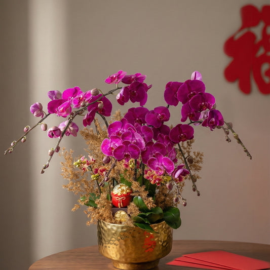 Butterfiles in Fairy glow - 8 stems Phalaenopsis Orchids