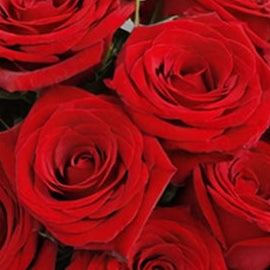 情人節 - 12枝紅玫瑰連花瓶