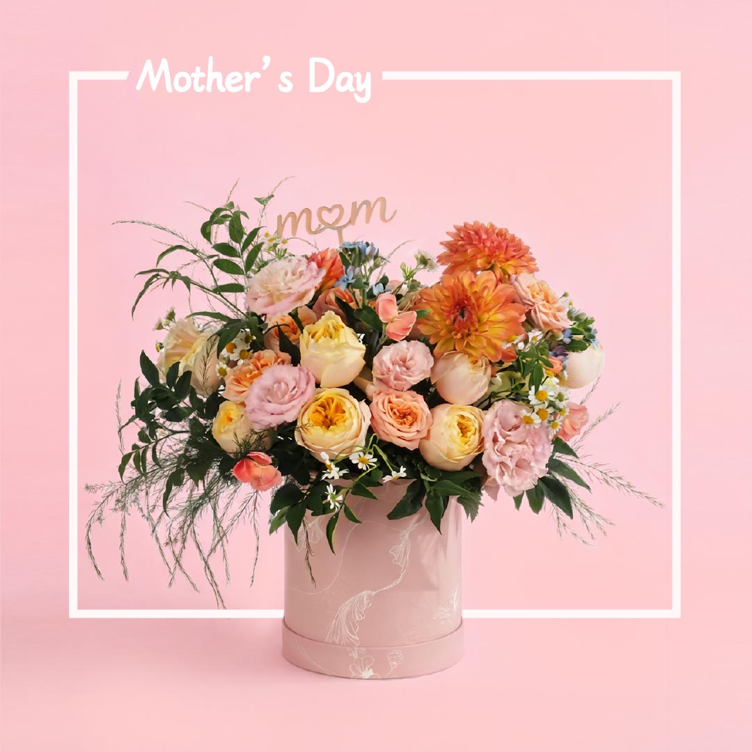 Poem of Morning Glow-MDAY