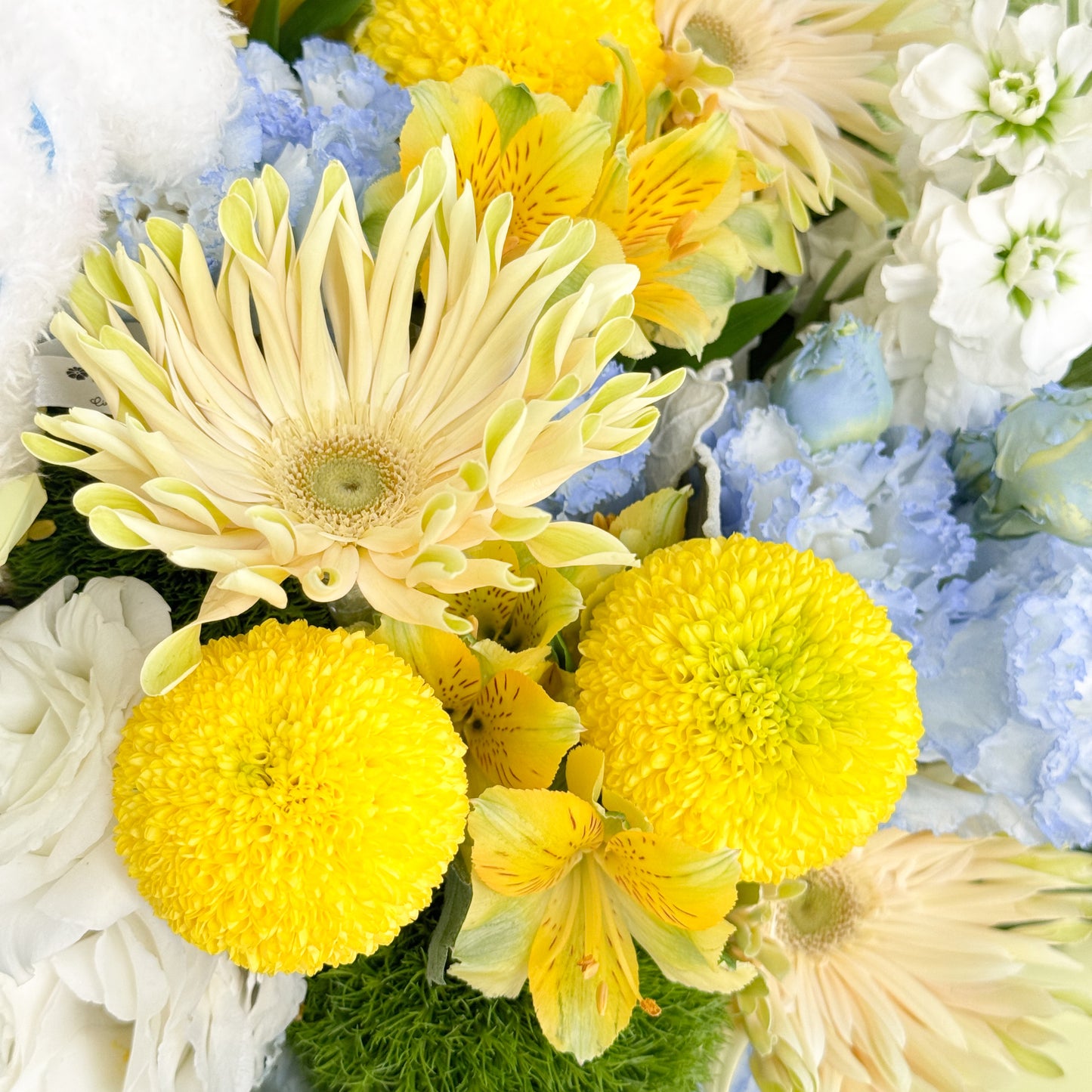 Cinnamoroll 夏日花園花束 Cinnamoroll summer garden bouquet