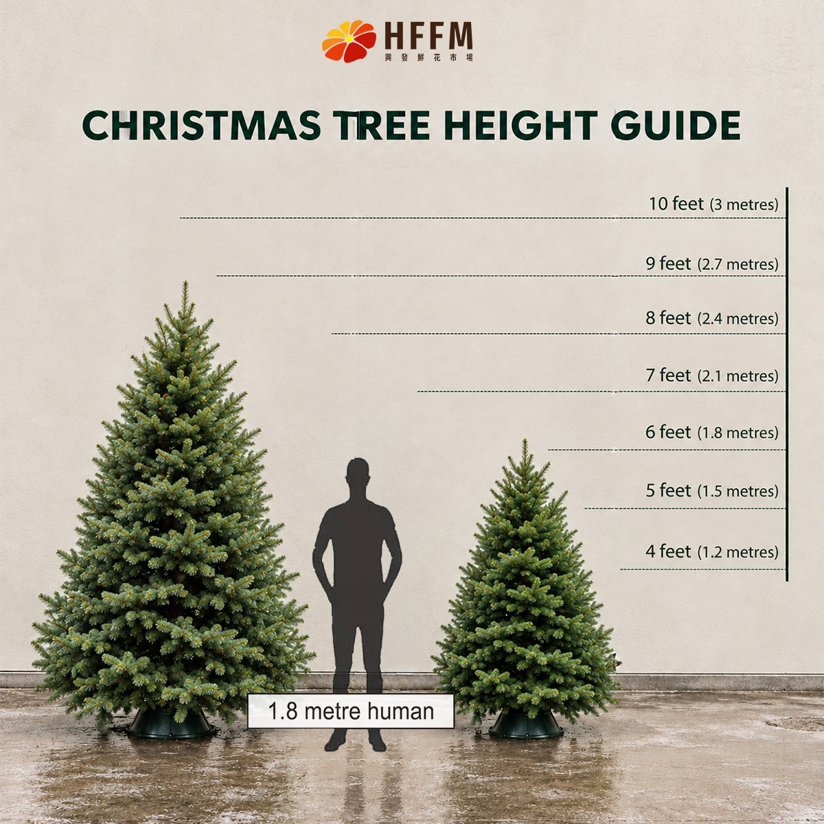 【Early Bird 30% OFF】Premium Noble Fir Christmas Tree