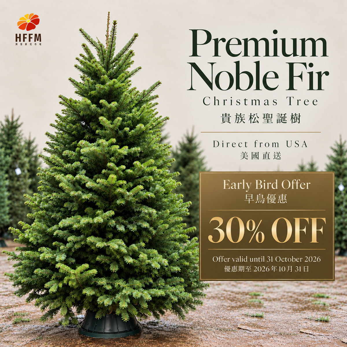 【Early Bird 30% OFF】Premium Noble Fir Christmas Tree