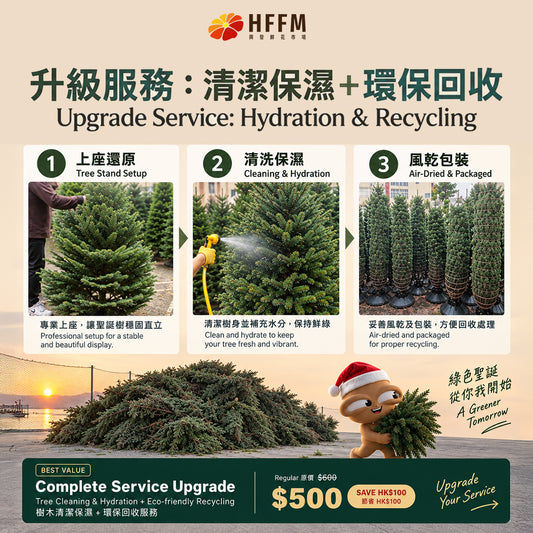 $500 升級服務︰清潔保濕＋環保回收