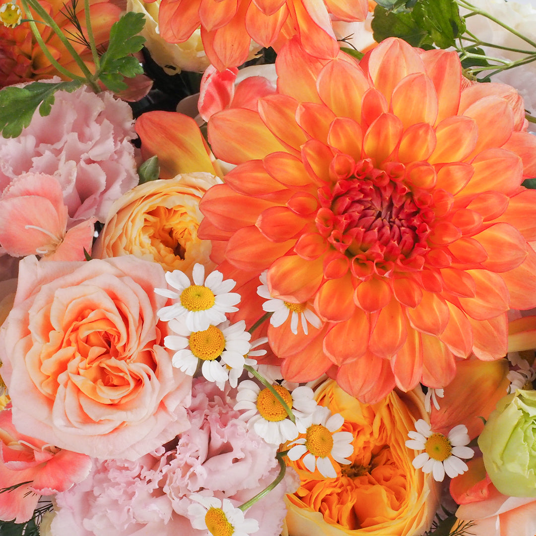 Poem of Morning Glow-MDAY