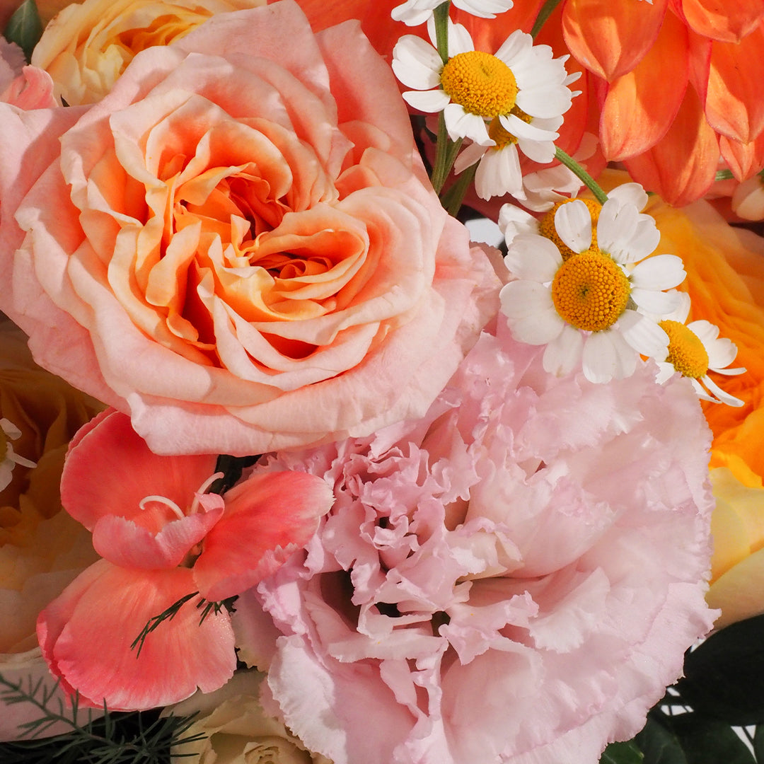 Poem of Morning Glow-MDAY