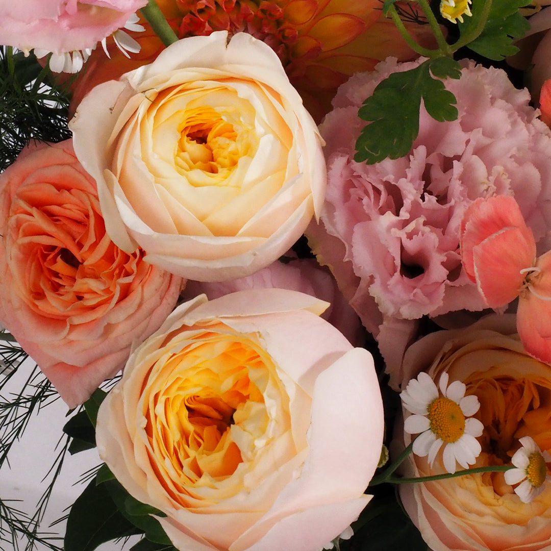 Poem of Morning Glow-MDAY