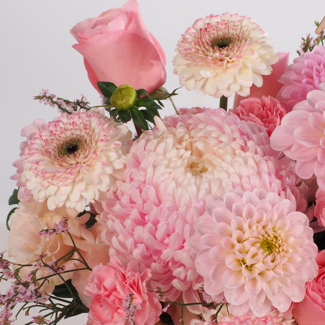 Pastel Overture