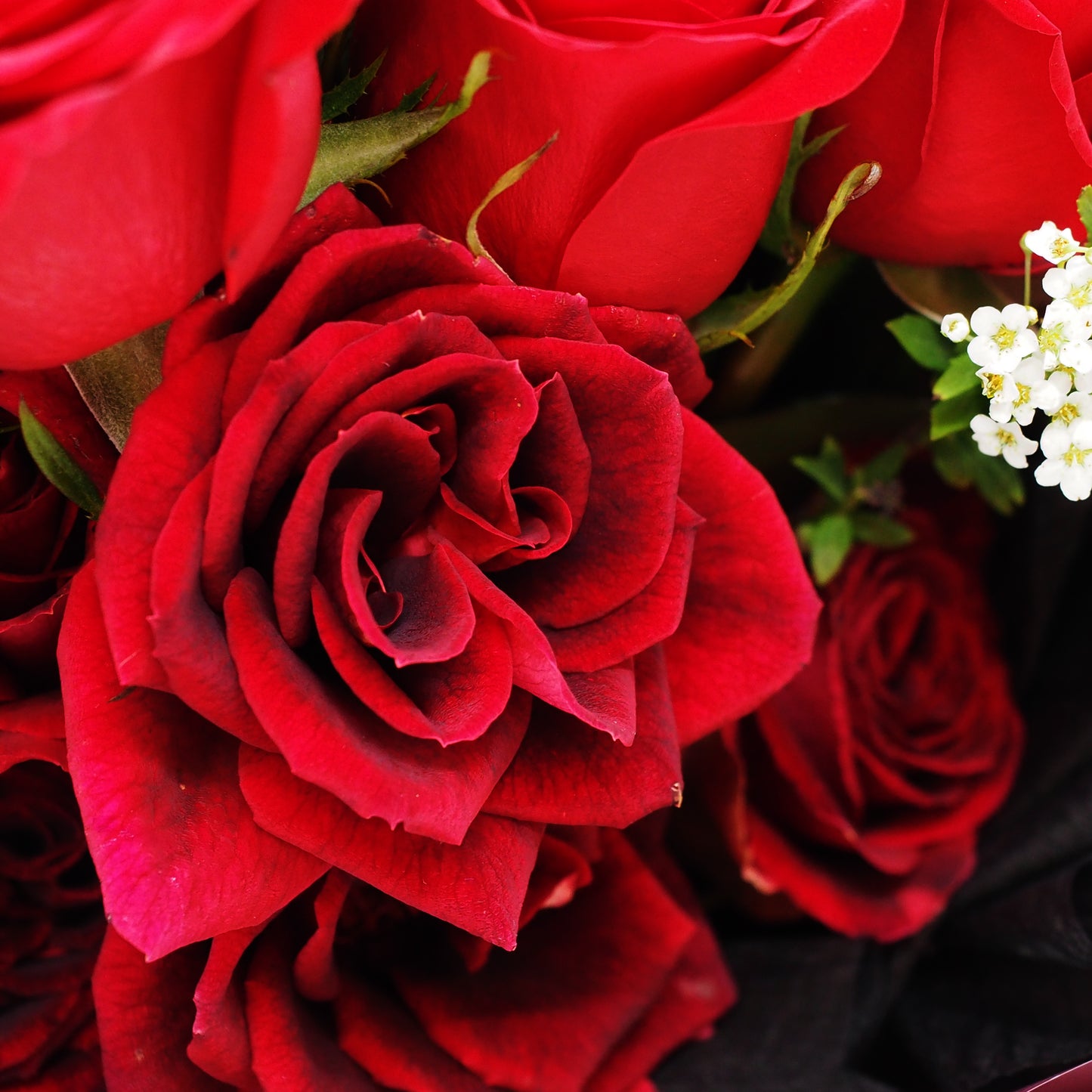 情人節 - 厄瓜多爾紅玫瑰小玫瑰花束 