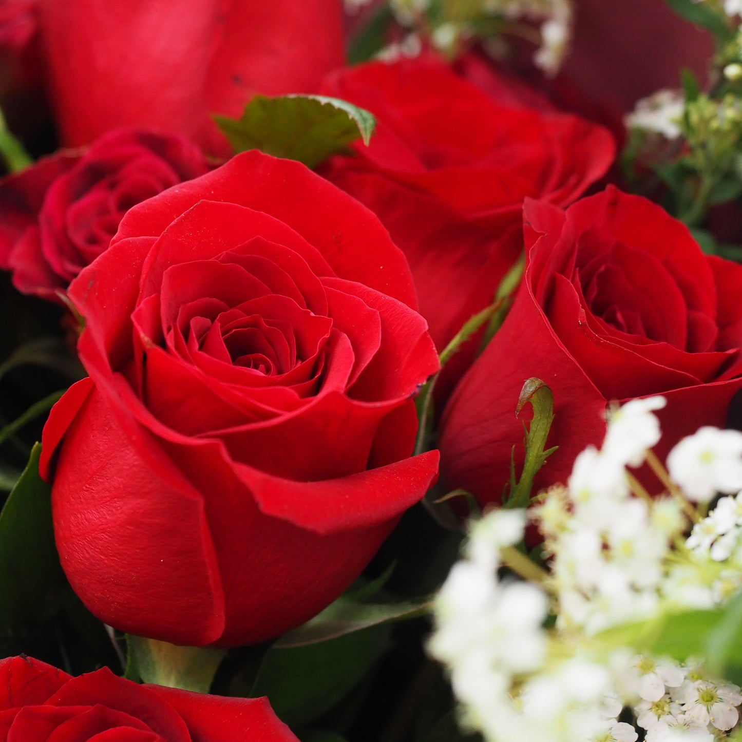 情人節 - 厄瓜多爾紅玫瑰小玫瑰花束 