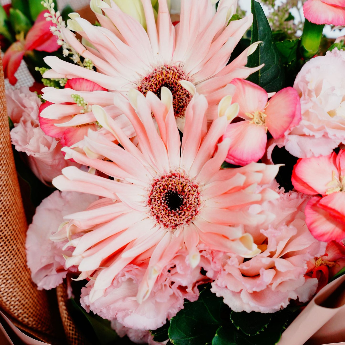 Daily Hue - Petite Blooms Collection *Mix and match any 2 or more.