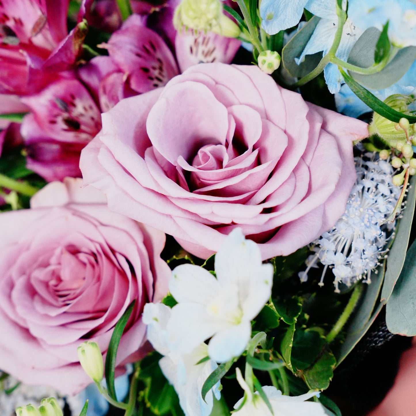 Sweet Whisper - Petite Blooms Collection *Mix and match any 2 or more.