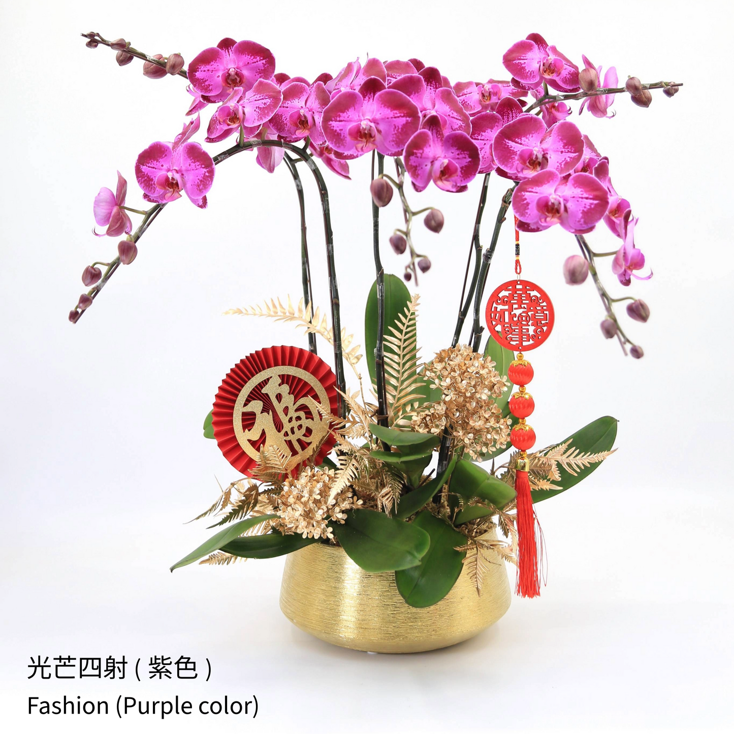 Taiwan Phalaenopsis Orchids - Set of 5 Stems in Three Vibrant Colors