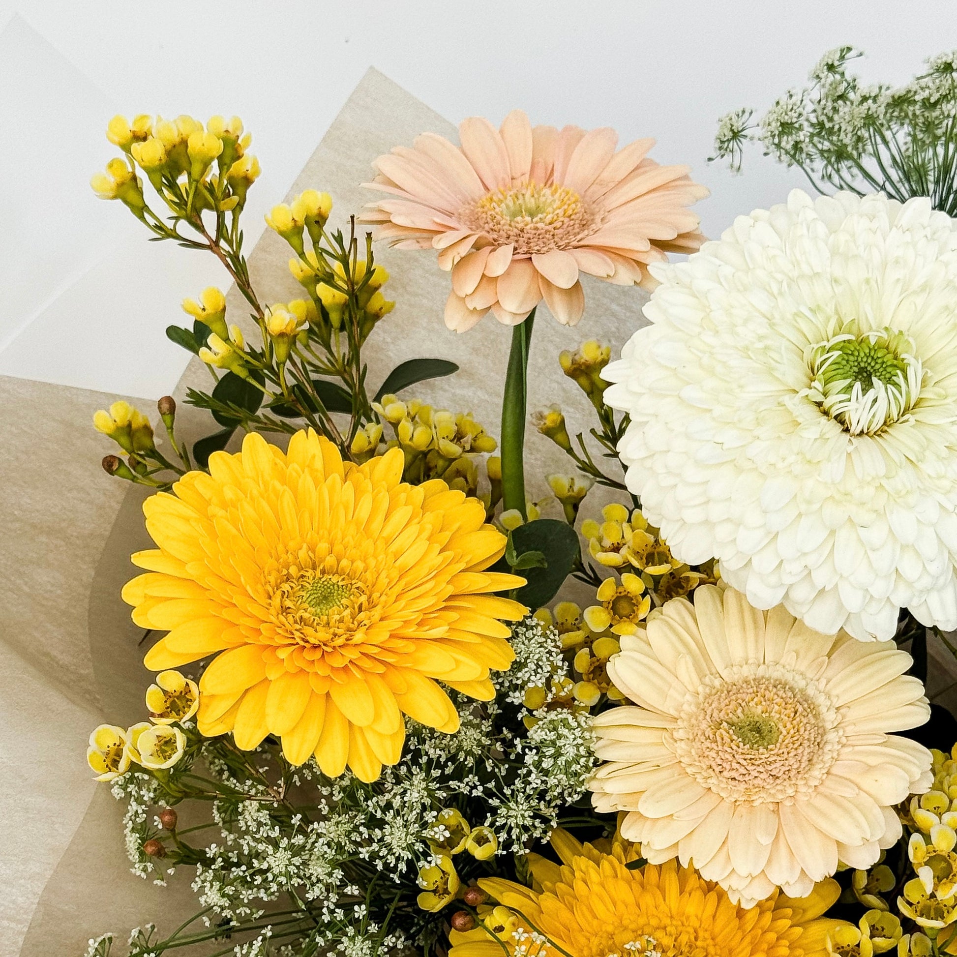 黃太陽菊花束 Yellow gerbera bouquet close up