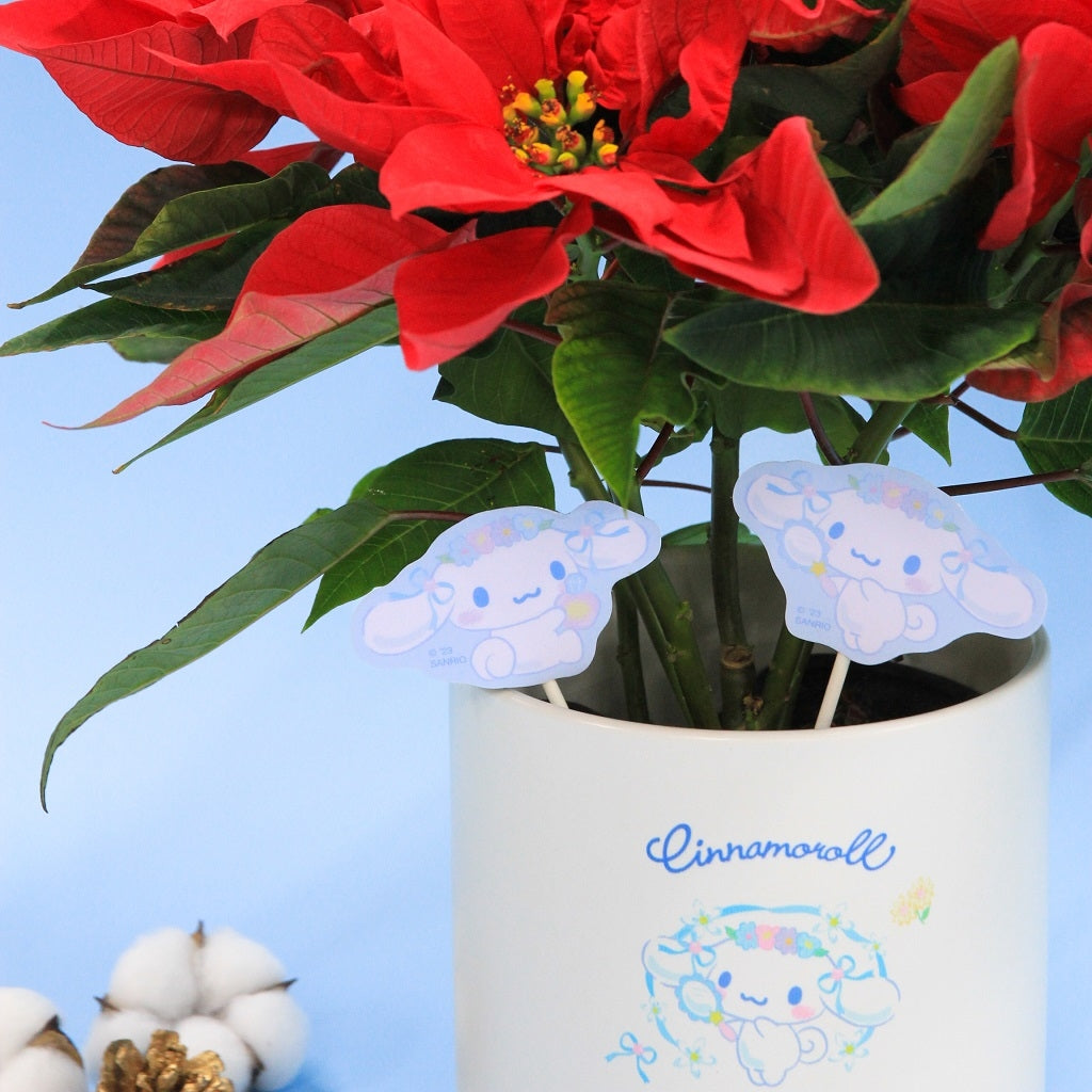 Pre-order Cinnamoroll poinsettia (with character stand and pot)