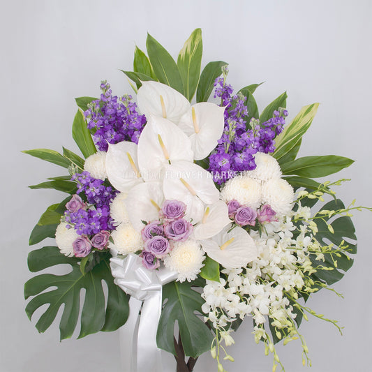 白掌日射花籃 white anthurium and purple stock flower stand