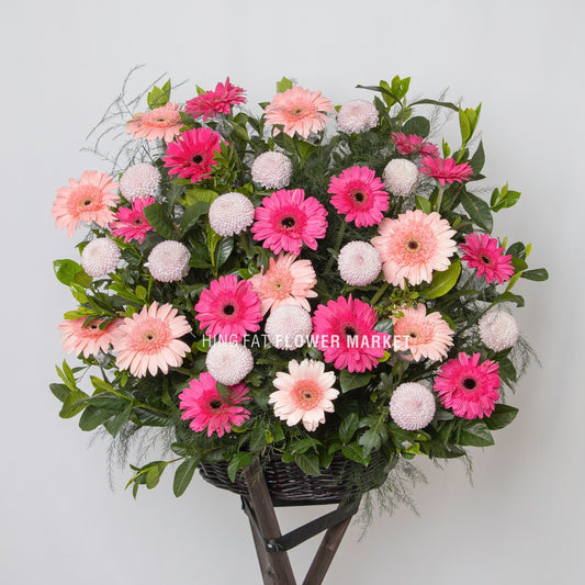 粉太陽菊乒乓菊花籃 Pink gerbera chrysanthemum and flower stand