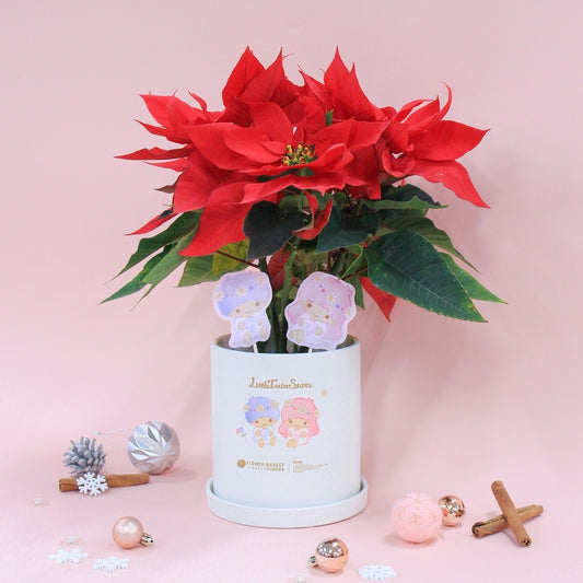 Pre-order Little Twin Stars poinsettia (with character stand and pot)