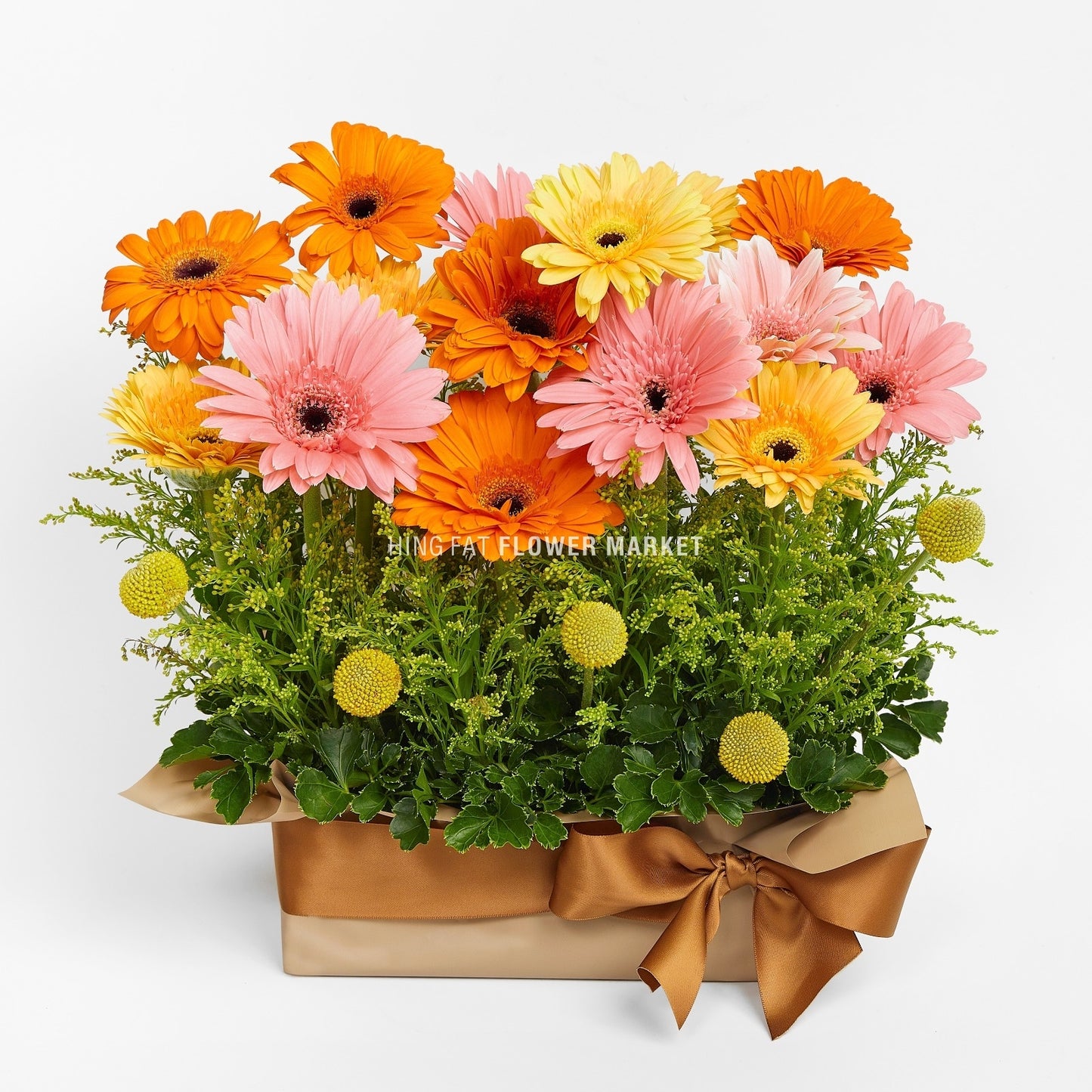 三色太陽菊花禮 Gerbera flower arrangement flower basket