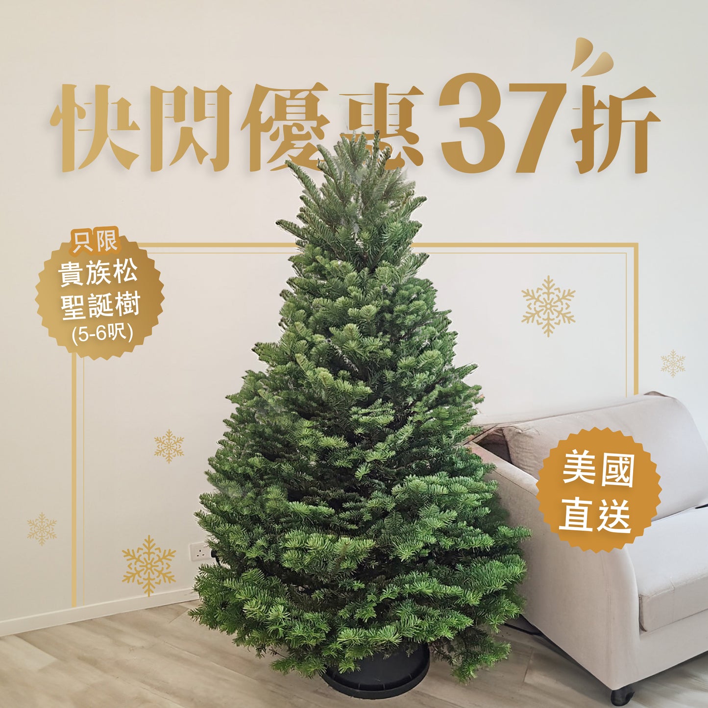 高級貴族松聖誕樹-美國直送‼️快閃優惠‼️