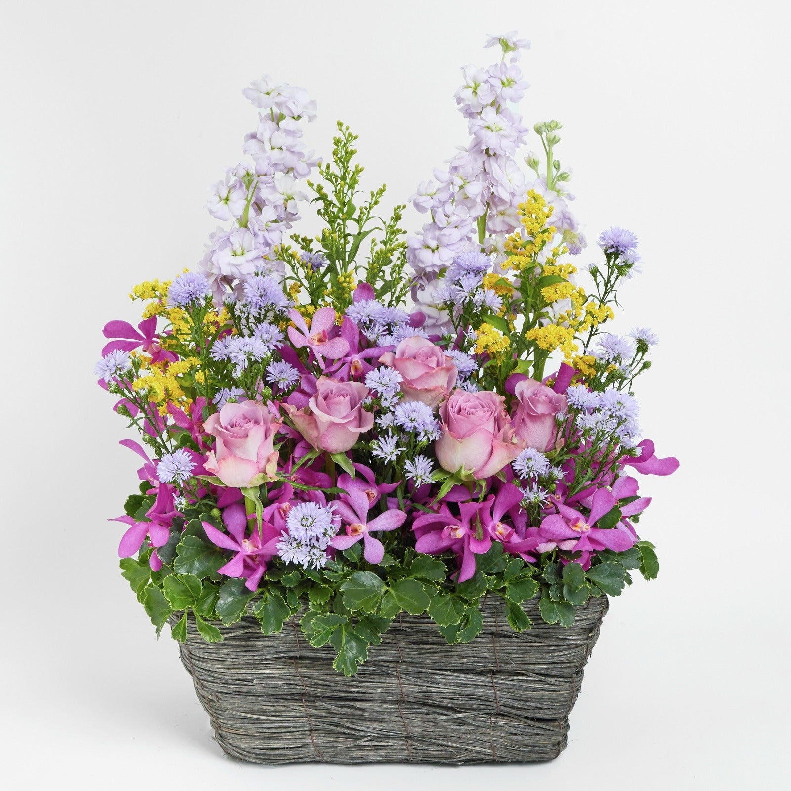 紫玫瑰日射花禮 Purple rose and stock flower basket